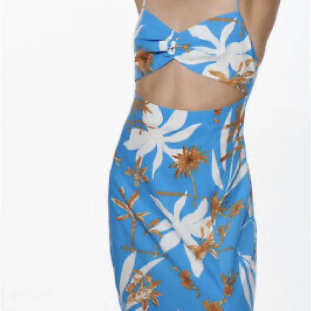 Zara blogger favorite